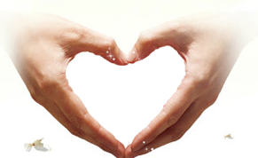 兆量網絡,網站維護托管